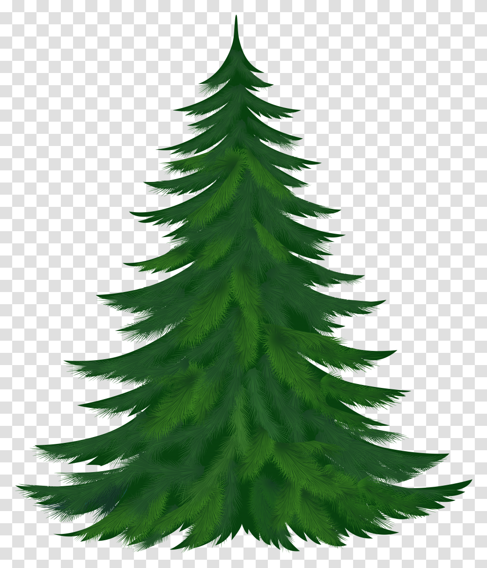 Library Of Pine Tree Clip Art Freeuse Christmas Tree Clipart Transparent Png