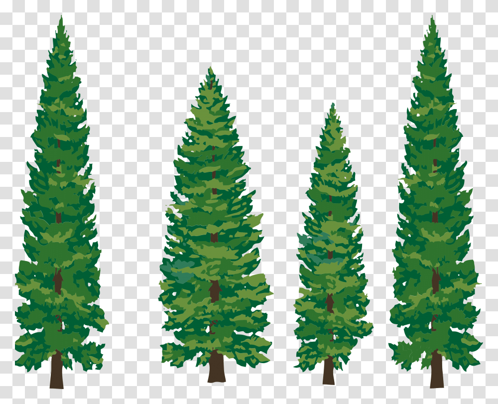 Library Of Pine Tree Forest Jpg Cartoon Pine Tree, Plant, Fir, Abies, Conifer Transparent Png