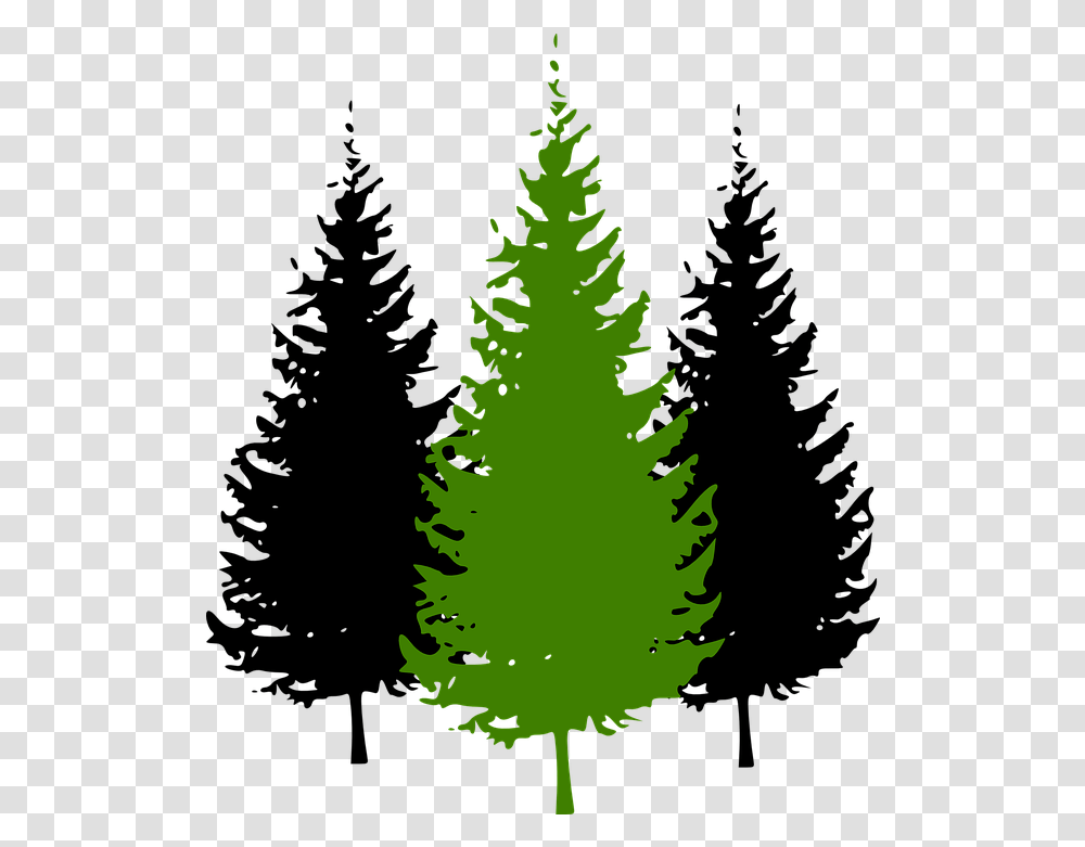 Library Of Pine Tree With Snow Graphic Vector Cartoon Pine Tree, Plant, Christmas Tree, Ornament, Conifer Transparent Png