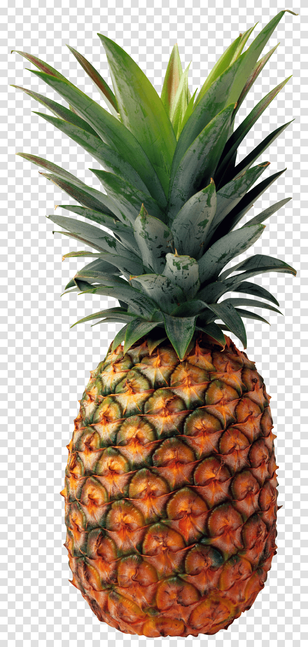 Library Of Pineapple Clipart Black And Pineapple, Fruit, Plant, Food Transparent Png