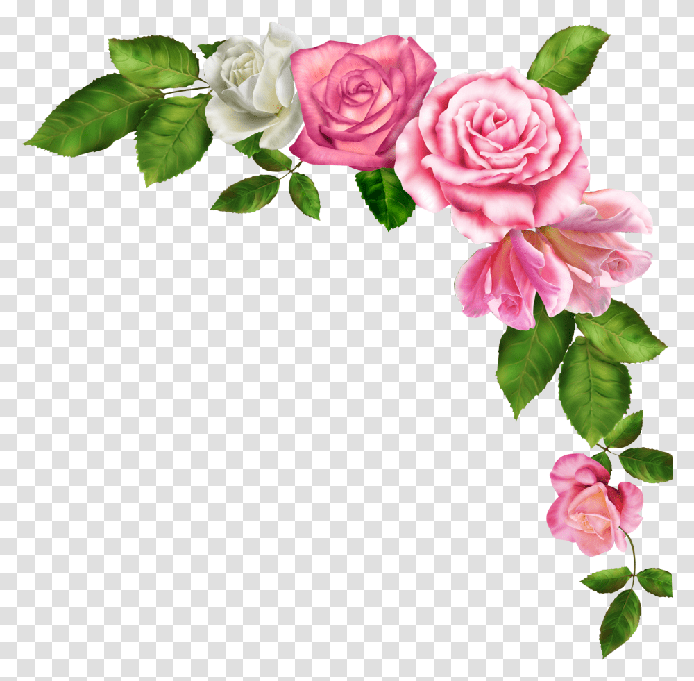 Library Of Pink Flower Border Vector Pink Flower Border, Rose, Plant, Blossom, Petal Transparent Png
