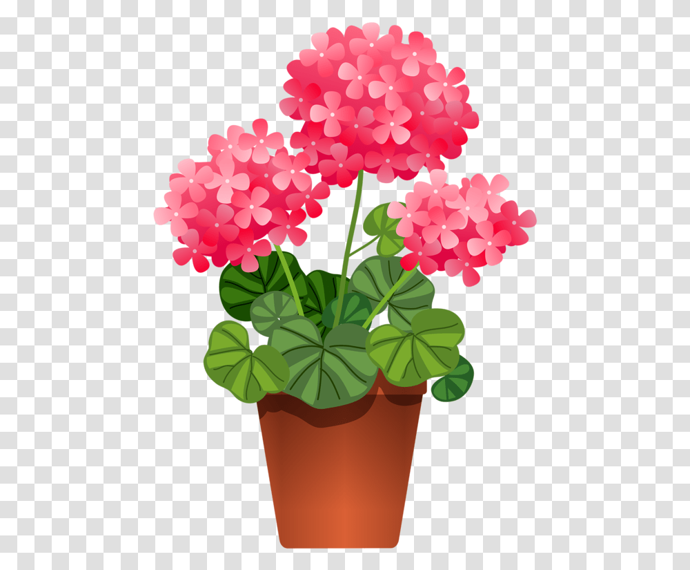 Library Of Plant A Flower Clipart Freeuse Stock Files Potted Plants Clipart, Geranium, Blossom, Dahlia, Leaf Transparent Png