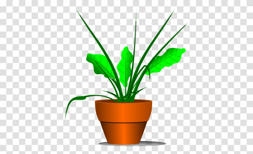 Library Of Plant Images Picture Freeuse Free Plant Clipart, Leaf, Pot Transparent Png