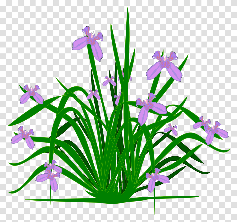 Library Of Plants And Flowers Clipart Black White Clipart Plants, Iris, Vase, Jar, Pottery Transparent Png