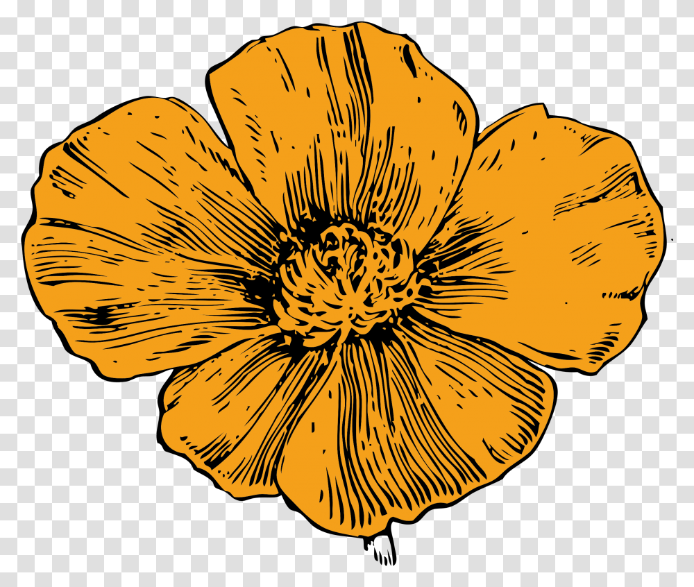 Library Of Poppy Flower Graphic Free California Poppy Clipart, Plant, Petal, Blossom, Anemone Transparent Png