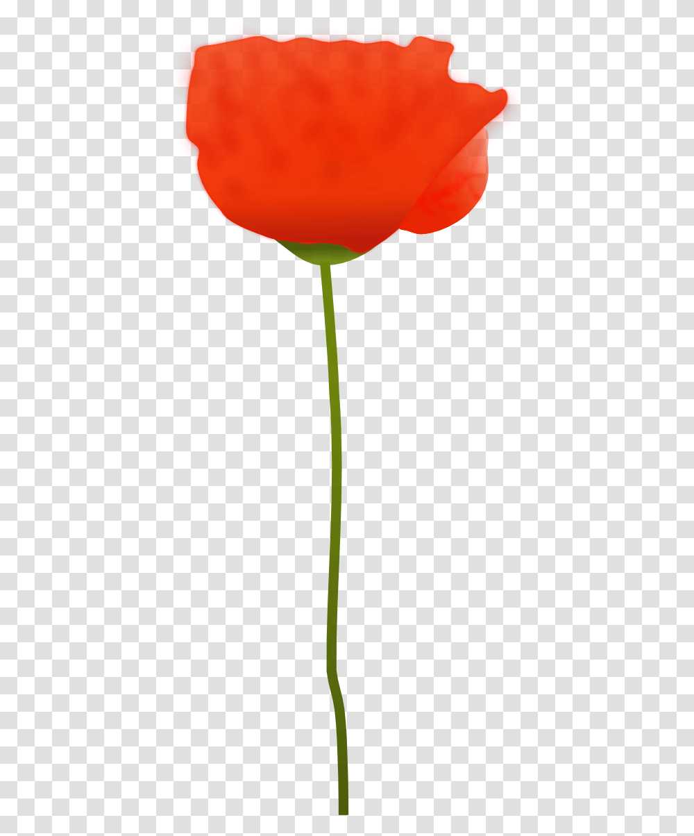 Library Of Poppy Flower Graphic Free Red Poppy Flower Vector, Plant, Blossom, Lamp, Tulip Transparent Png