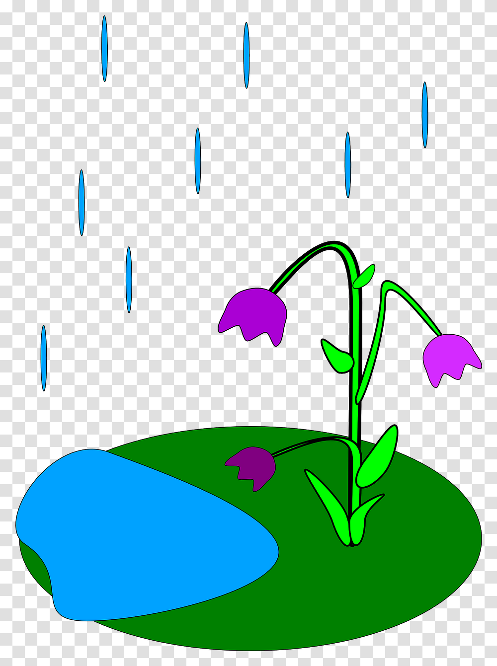 Library Of Rain Flowers Sun Clipart Royalty Free Rain Formed For Kids, Green, Graphics, Plant, Lighting Transparent Png