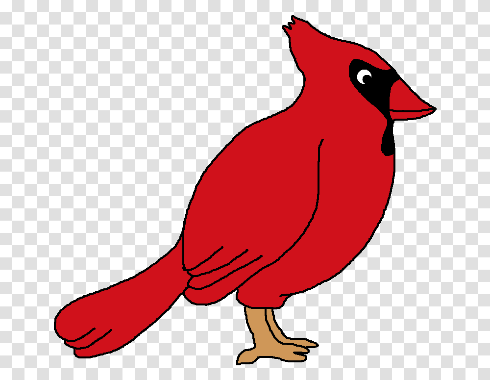 Library Of Red Bird Picture Red Bird Clip Art, Cardinal, Animal, Person, Human Transparent Png