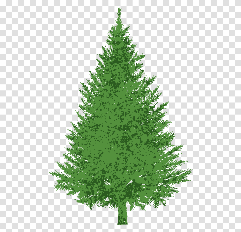 Library Of Royalty Free Evergreen Tree Files Clipart Of Evergreen Tree, Plant, Pine, Christmas Tree, Ornament Transparent Png