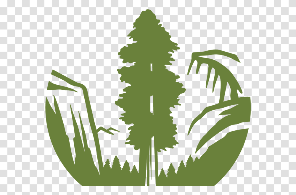 Library Of Sierra Club Logo Graphic Free Files Sierra Club Logo, Leaf, Plant, Tree, Symbol Transparent Png