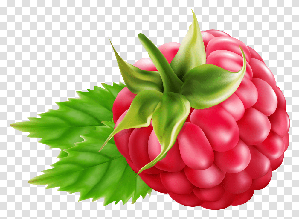 Library Of Svg Freeuse Raspberry Raspberry Clipart Transparent Png