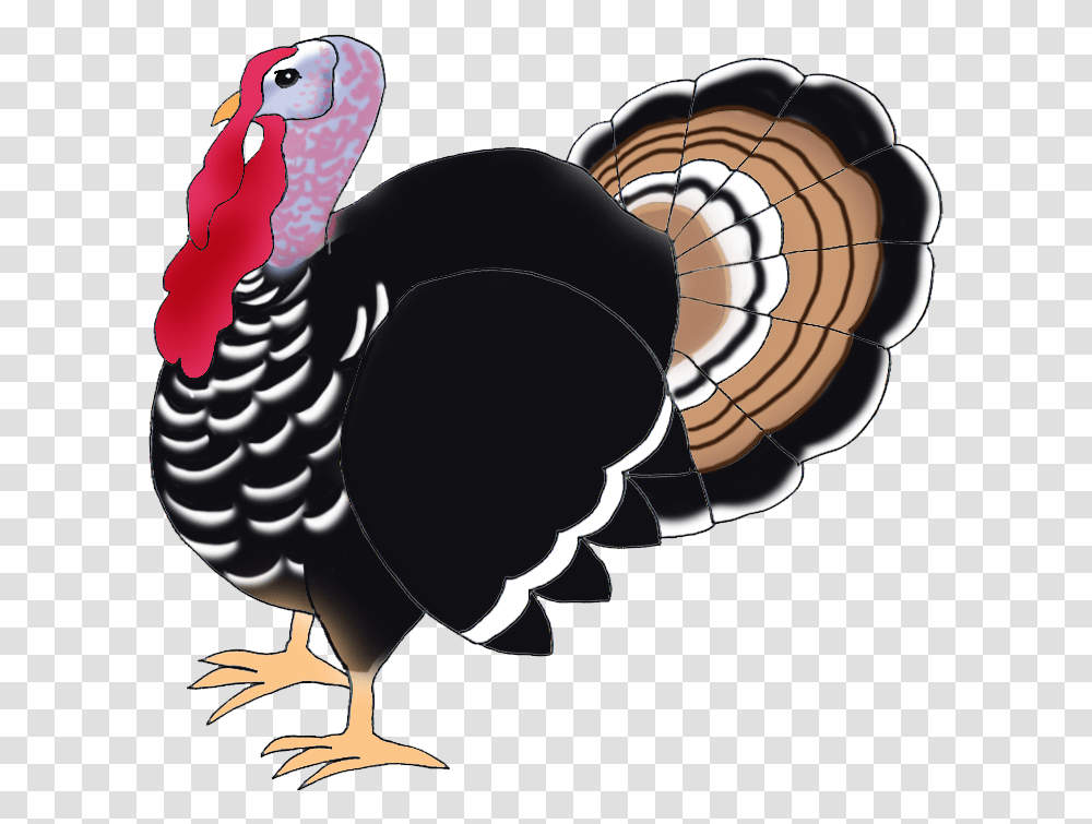 Library Of Thanksgiving Turkey Banner Royalty Free Download Turkey Bird Hd, Poultry, Fowl, Animal Transparent Png