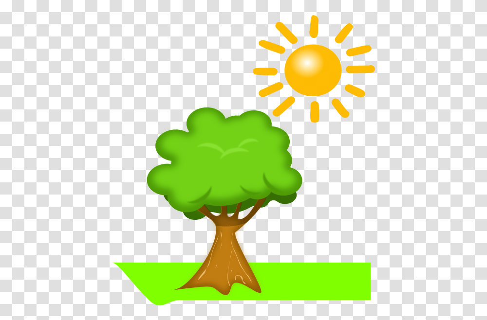 Library Of Tree And Sun Stock Files Plants Make Their Own Food, Vegetable, Root, Hand, Carrot Transparent Png