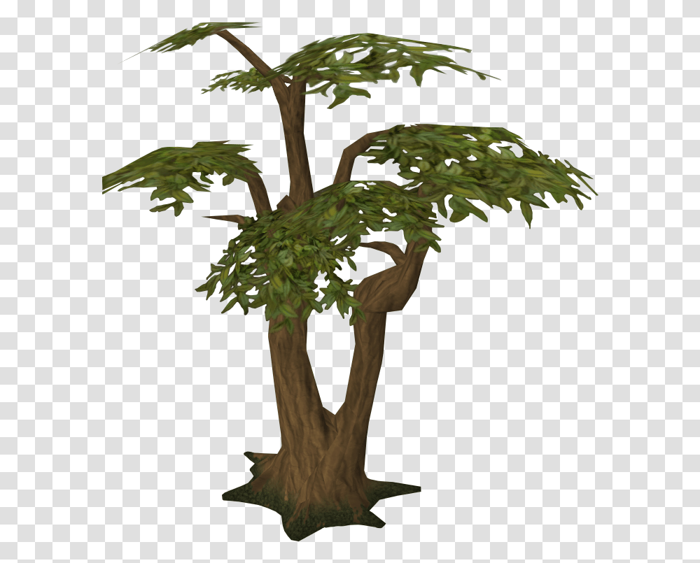 Library Of Tree Bark Freeuse Stock Jungle Tree, Plant, Tree Trunk, Bird, Animal Transparent Png