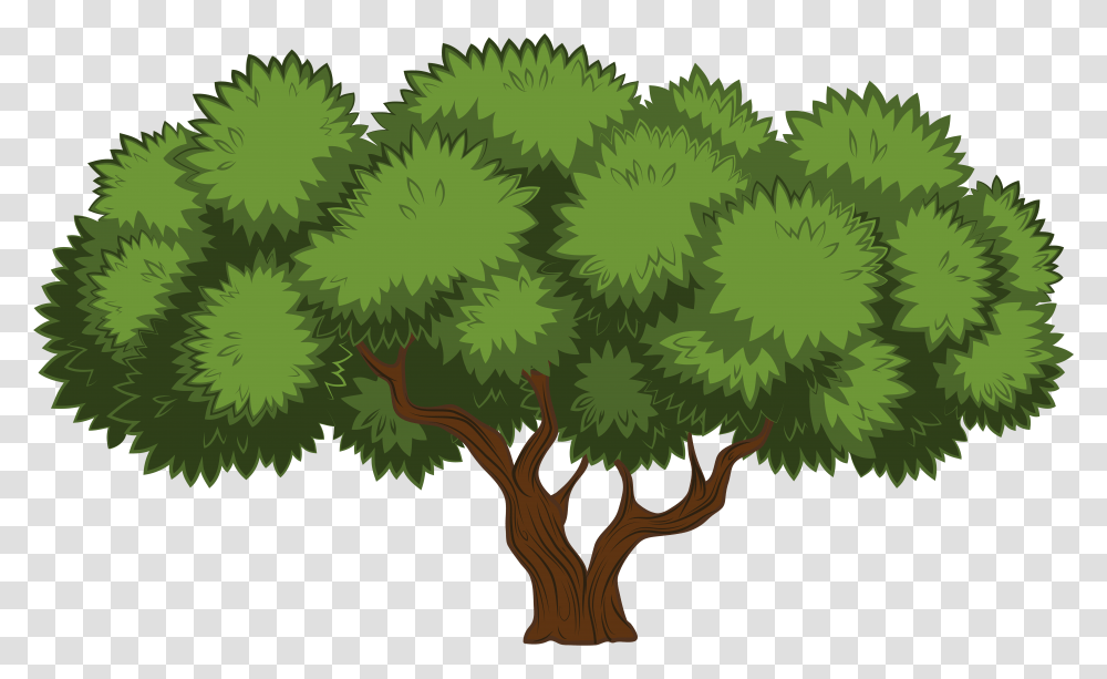 Library Of Tree Picture Files Trees Clip Art, Plant, Green, Tree Trunk, Conifer Transparent Png