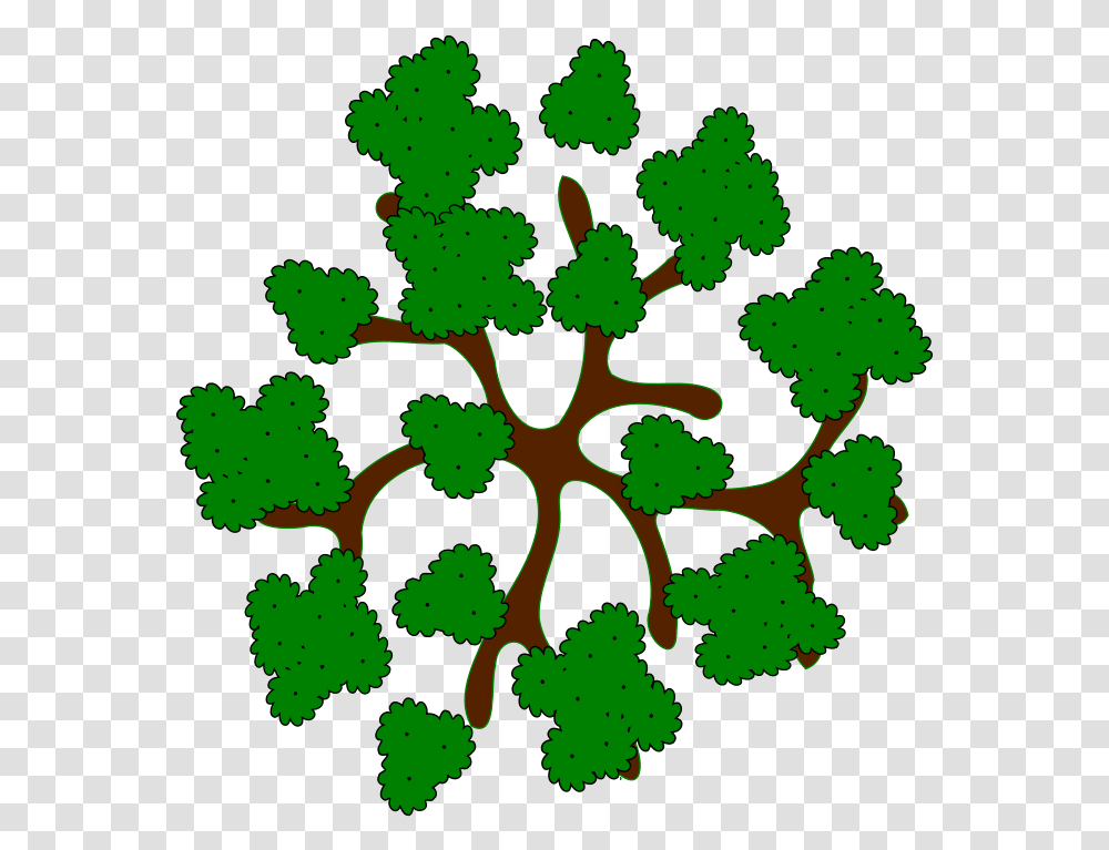 Library Of Tree Top Royalty Free Files Top View Clipart Tree, Green, Graphics, Plant, Pattern Transparent Png