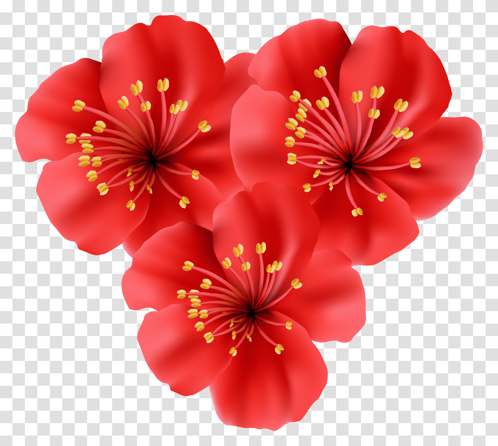 Library Of Tropical Flower Border Clipart Free Real Tropical Flowers Transparent Png