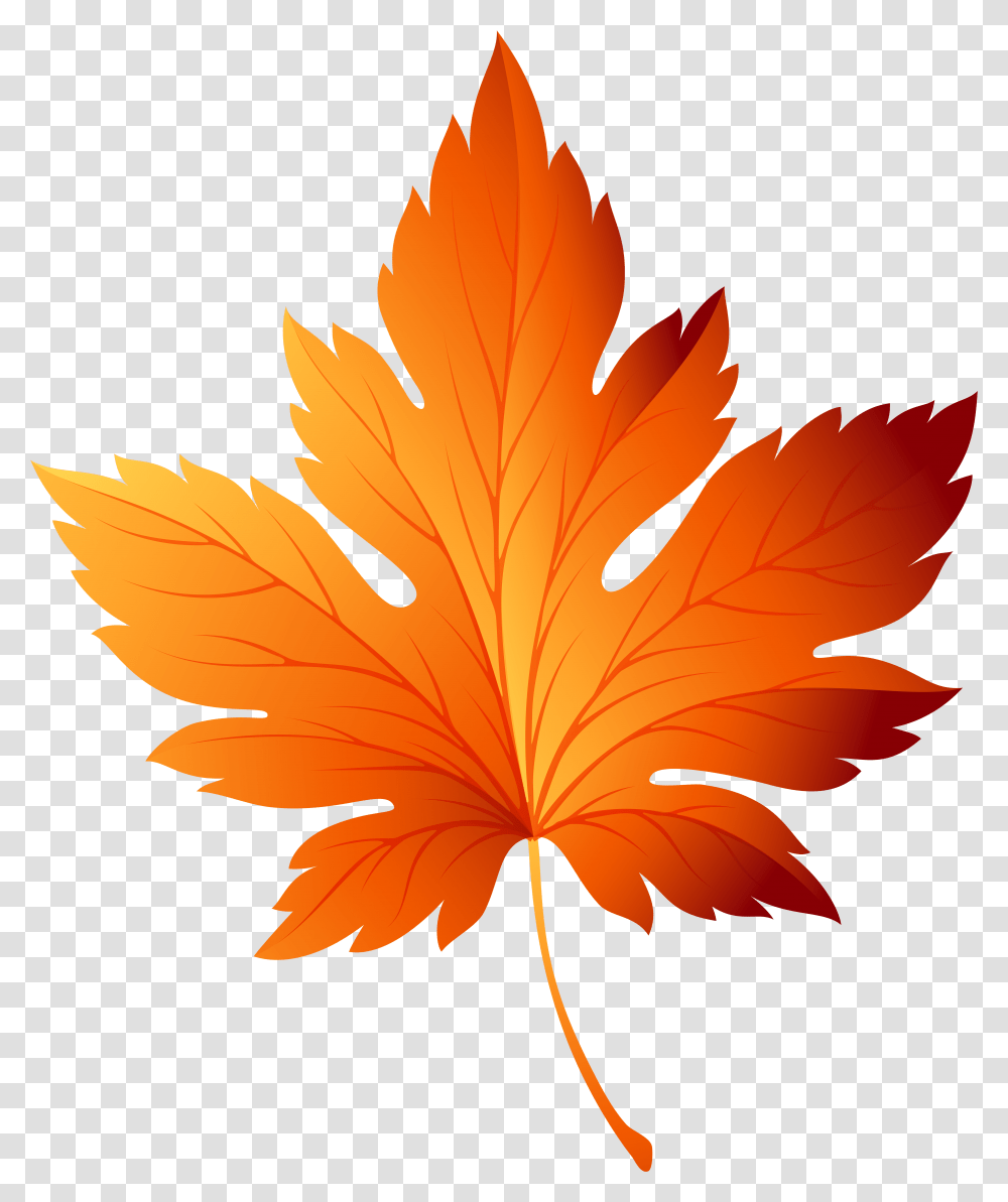 Library Of Veined Leaf Black And Fall Leaf Vector, Plant, Tree, Maple Leaf Transparent Png