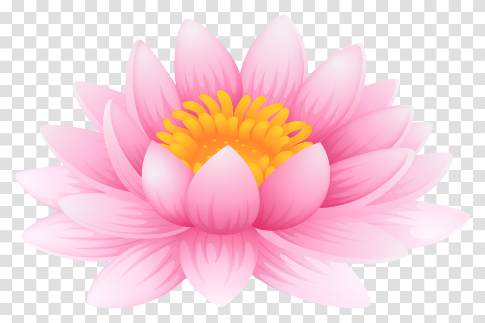 Library Of Water Lily Clipart Free Files Pad Transparent Png