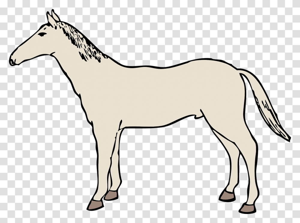 Library Of White Horse Svg Free Files Gambar Kuda Line Art, Mammal, Animal, Foal, Colt Horse Transparent Png