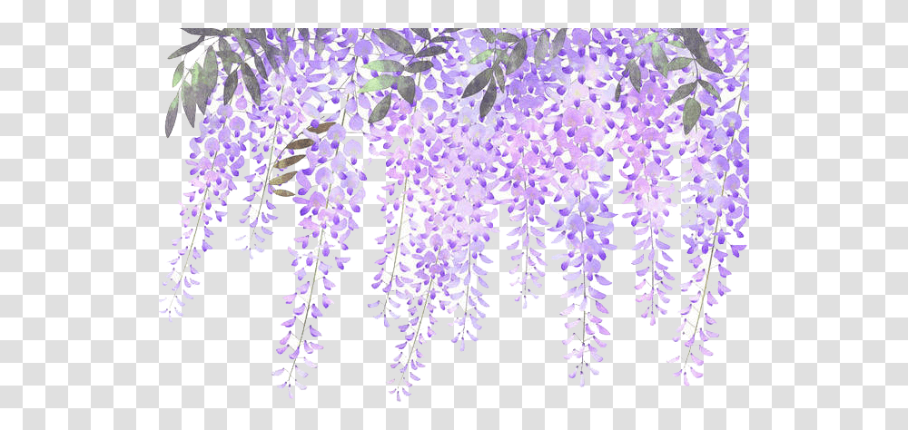 Library Of Wisteria Lavender Hydrangea Wisteria Flower, Plant, Blossom, Petal, Iris Transparent Png