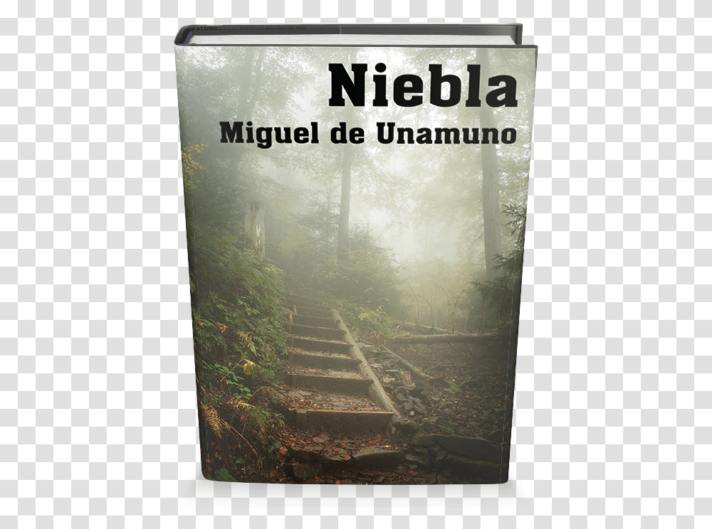 Libro Niebla, Nature, Outdoors, Weather, Vegetation Transparent Png