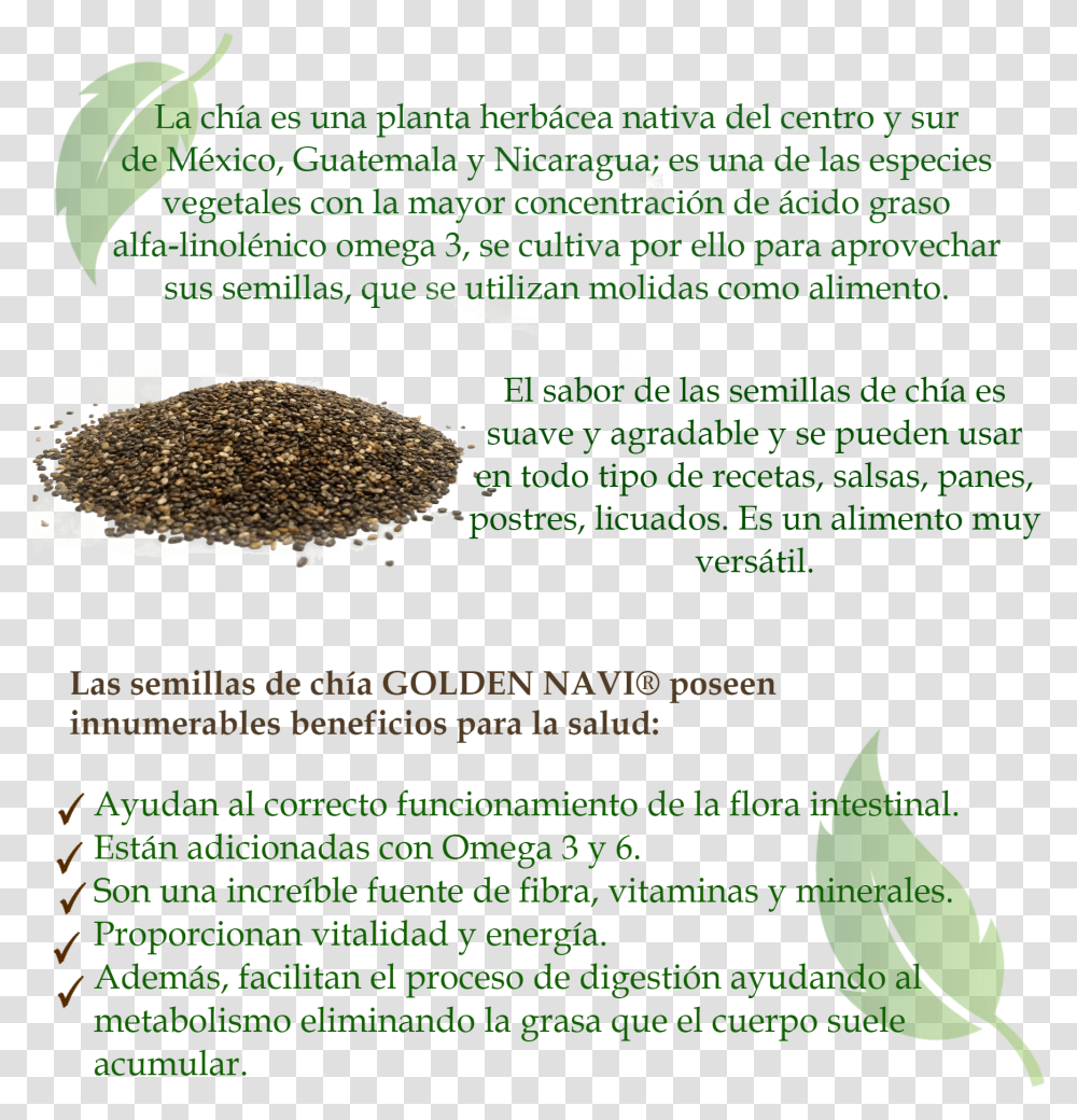 Licuados Seed, Flyer, Poster, Paper, Advertisement Transparent Png