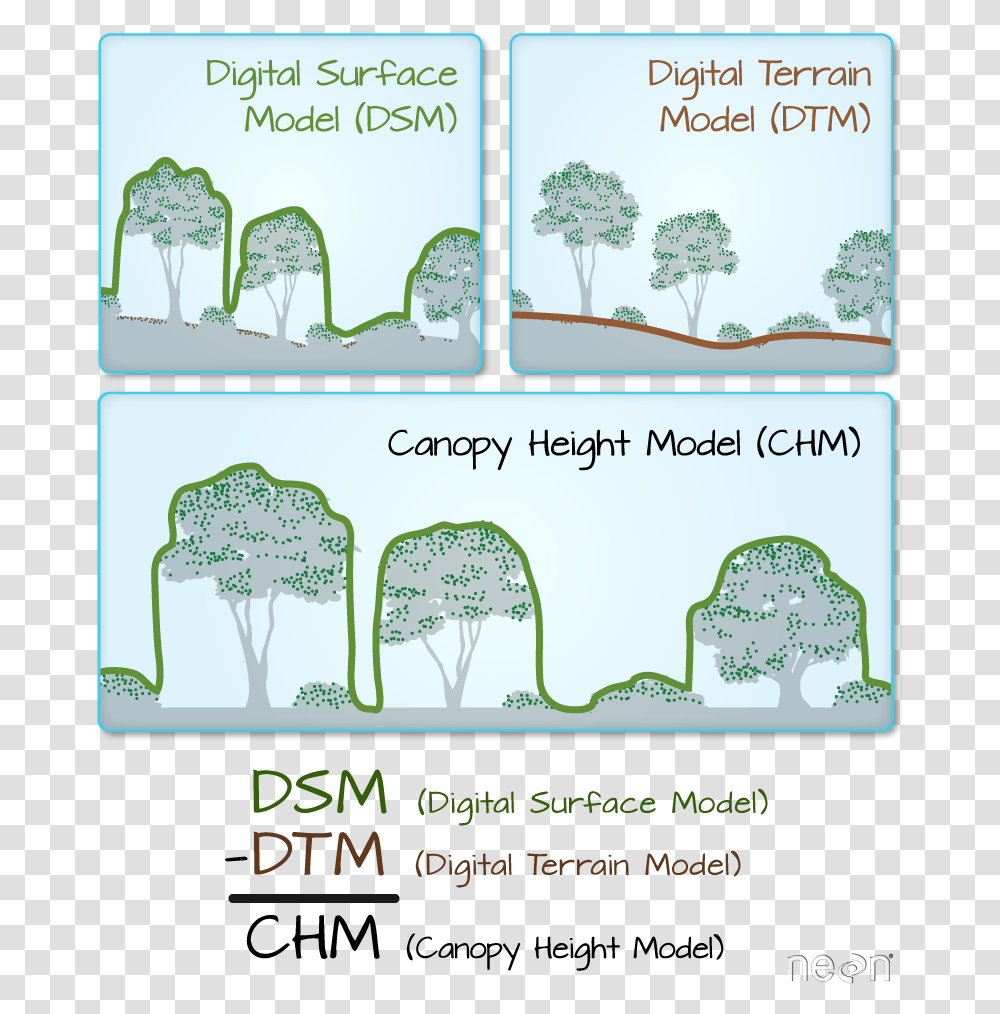 Lidar Derived Dsm Dtm And Chm Canopy Height Model Chm, Plant, Vegetation, Nature Transparent Png