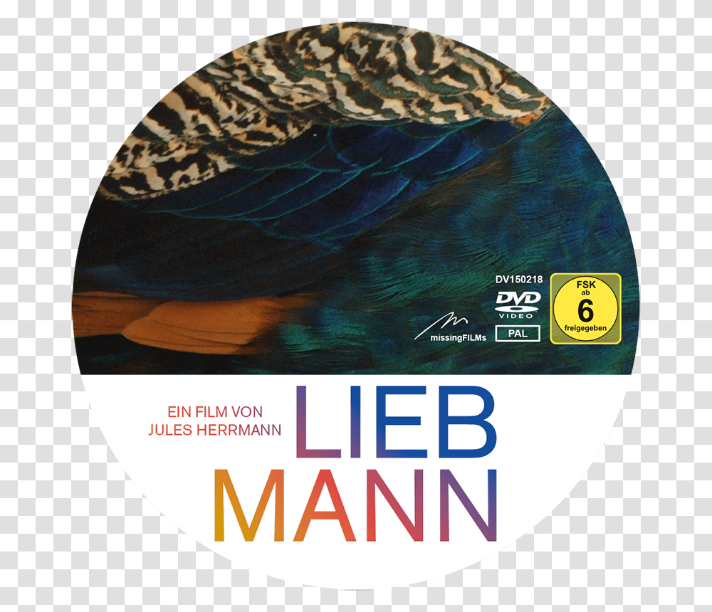 Liebmann Movie, Disk, Rug, Dvd, Poster Transparent Png
