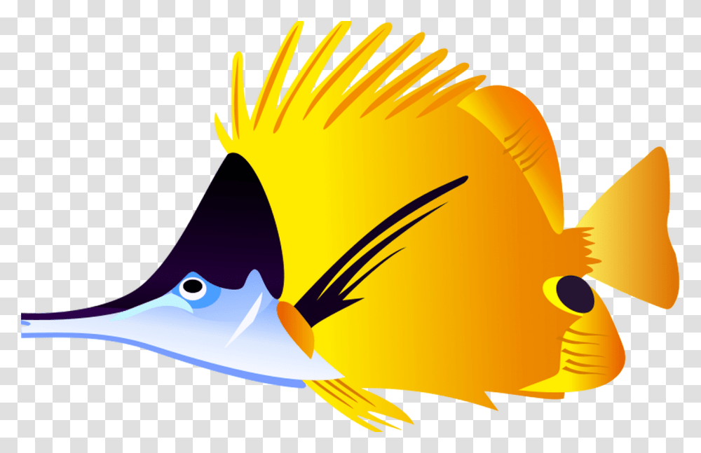 Life Clip Art Hot Trending Now, Fish, Animal, Sea Life, Angelfish Transparent Png