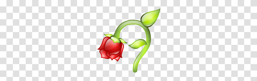 Life Cycle Of A Plant, Sprout, Vegetable, Food, Produce Transparent Png
