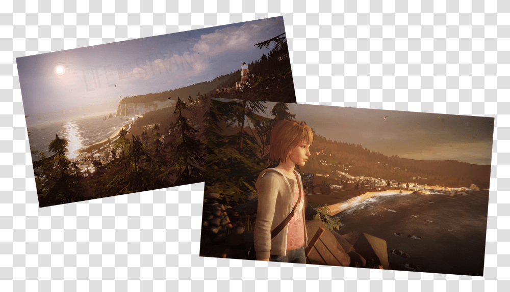 Life Is Strange Painting, Person, Outdoors, Nature, Flare Transparent Png