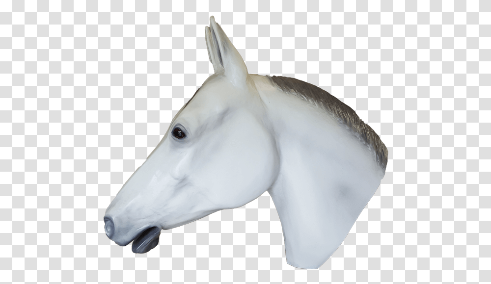 Life Size Display Grey Quarter Horse Head Looking Left Stallion, Porcelain, Pottery, Animal, Mammal Transparent Png