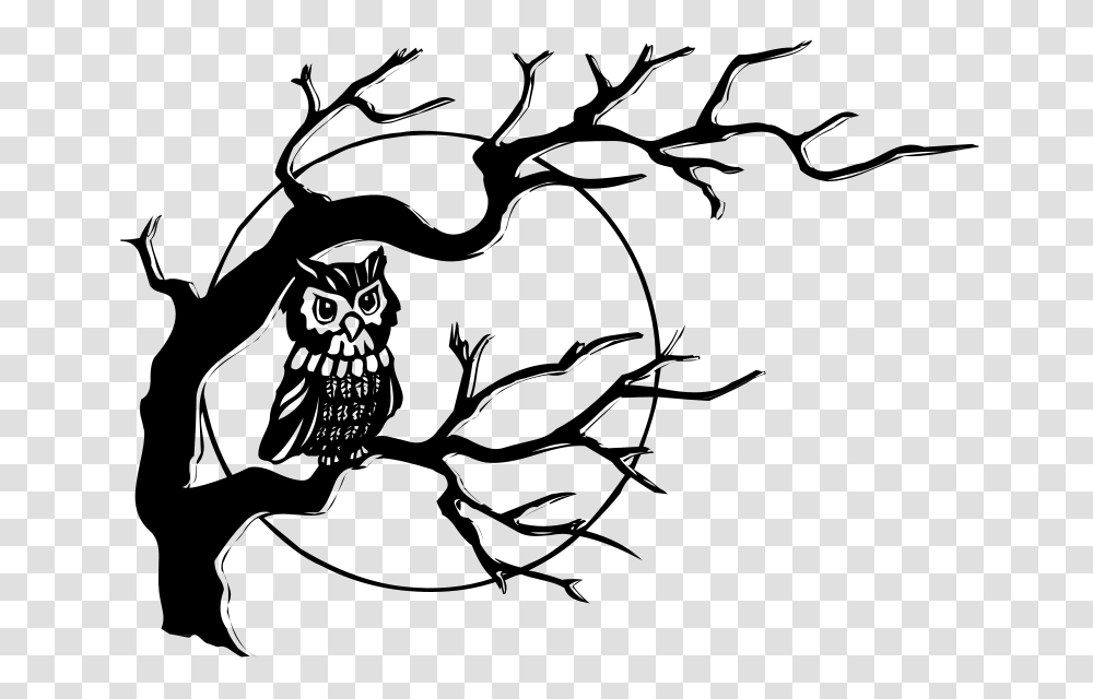 Liftarn Owl In Tree, Animals, Gray, World Of Warcraft Transparent Png