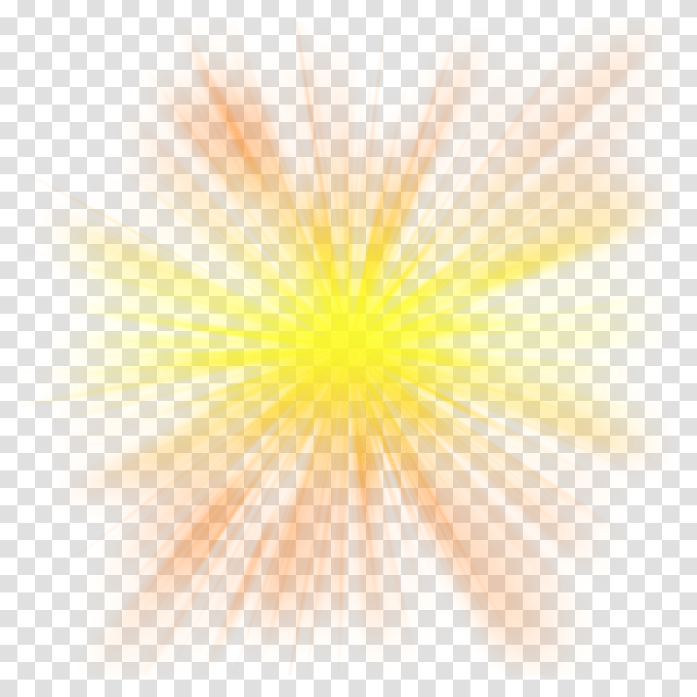 Light And Vectors For Free Download Dlpngcom Yellow Glow Background, Plant, Flower, Blossom, Bonfire Transparent Png