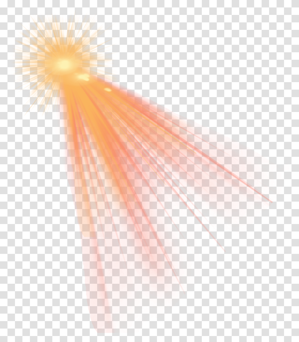 Light Beam Picture Marine Invertebrates, Clothing, Apparel, Bird, Animal Transparent Png