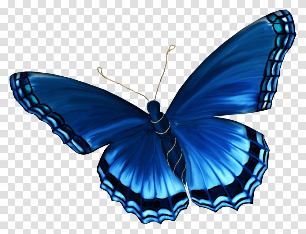 Light Blue Butterfly, Pattern, Ornament Transparent Png