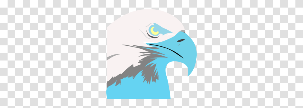 Light Blue Eagle Clip Art, Bird, Animal, Beak, Bald Eagle Transparent Png
