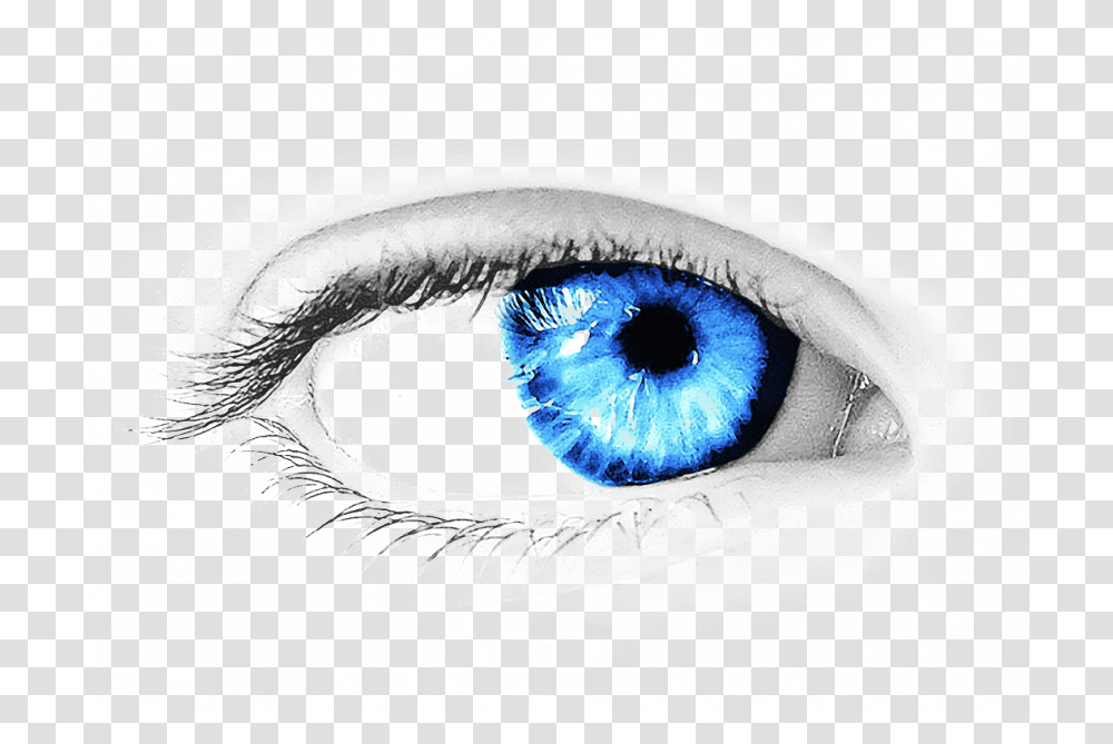 Light Blue Eyes Lenses E Eye, Drawing, Bird, Animal Transparent Png