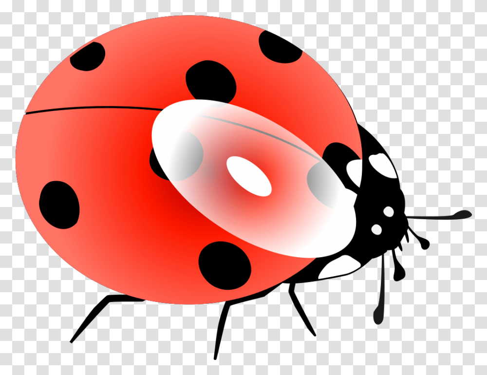 Light Blue Ladybug Svg Clip Arts Download Download Clip Blue Ladfybug Clipart, Outdoors, Nature, Mouse, Hardware Transparent Png