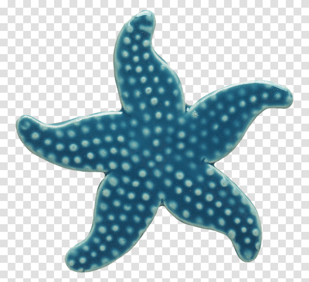 Light Blue Starfish Mosaic - Custom Mosaics Blue Star Fish Cartoon, Sea Life, Animal, Invertebrate Transparent Png