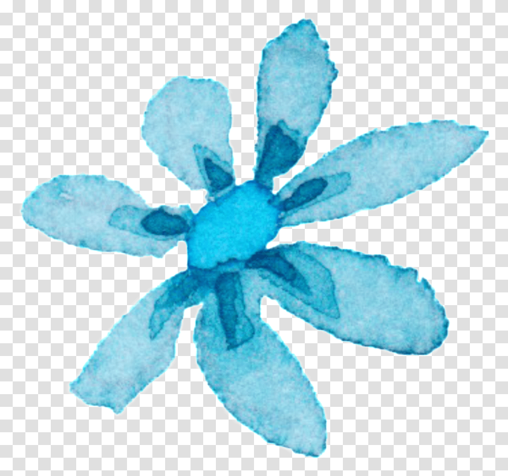 Light Blue Watercolor Hand Painted Flowers Decorative Illustration, Plant, Blossom, Cross Transparent Png
