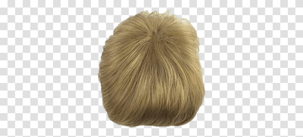 Light Brown Hair Toupee Stickpng Hair Design, Brush, Tool Transparent Png
