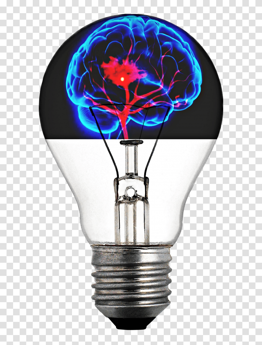 Light Bulb Brain Absorbed Free Image On Pixabay Light Background Hd Transparent Png