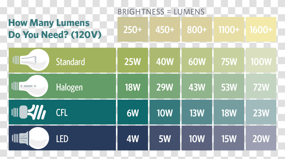 Light Bulb Brightness Guide, Word, Number Transparent Png