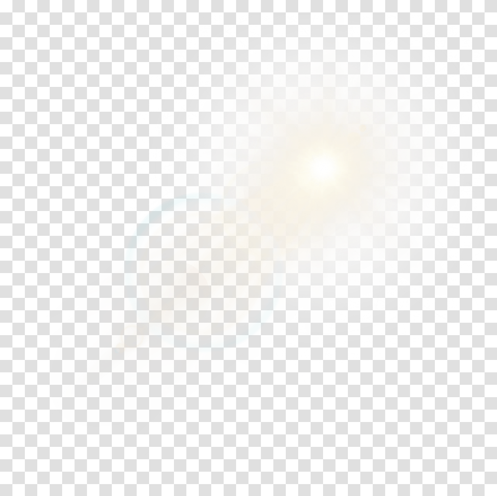 Light, Flare, Sphere, Balloon, Plant Transparent Png