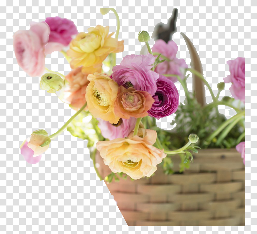 Light Flower Background Image Download Wallpaper, Plant, Blossom, Flower Arrangement, Flower Bouquet Transparent Png