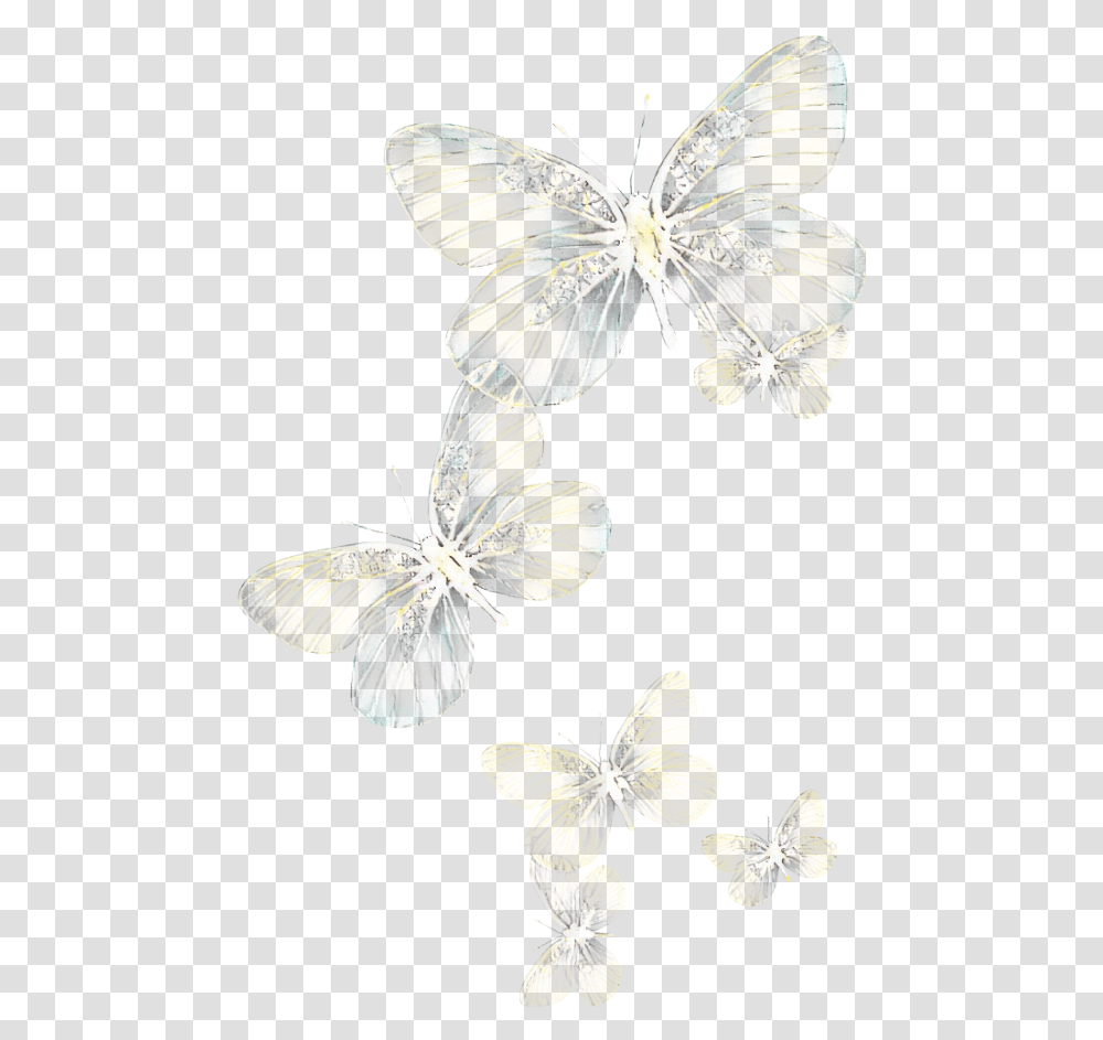 Light Glowing Flying White Butterfly, Plant, Floral Design, Pattern, Graphics Transparent Png