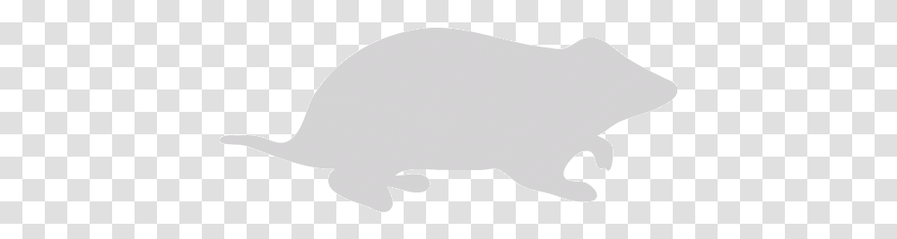 Light Gray Hamster Icon Marsupial, Pillow, Cushion, Mammal, Animal Transparent Png