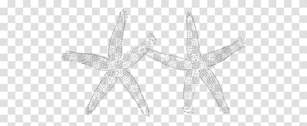 Light Gray Starfish Clip Art Gray Starfish Clipart, Invertebrate, Sea Life, Animal, Cross Transparent Png